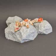  Flexi baby hart koekjes draak, fig. 2 