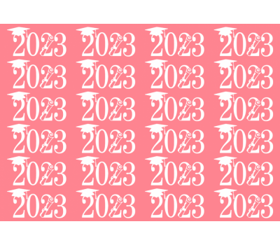  24x "Geslaagd 2023" op Frosty sheet - JouwTaartShop, fig. 24 