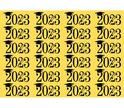  24x "Geslaagd 2023" op Frosty sheet - JouwTaartShop, fig. 11 