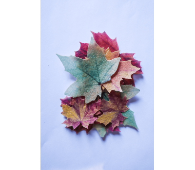 Eetbaar papier herfstbladeren - Crystal Candy, fig. 2 