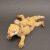  Flexi Otter, fig. 5 