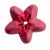  Direct flowers - Starflower #30 - Decora, fig. 2 